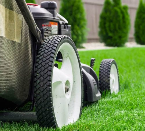 lawn-services-herojpg